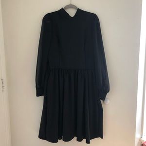 Black Nosferatu sheer sleeve dress